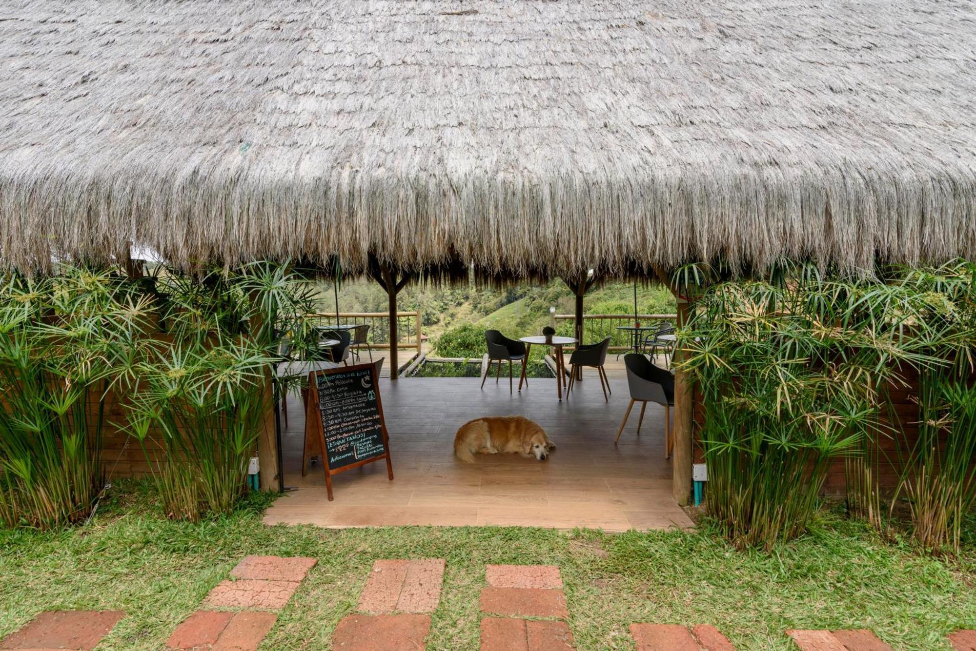 Levit Glamping - Hotel Guatape Penol (Adults Only) Buitenkant foto